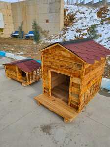 Sokak Hayvanlarına Yönelik Kulübümüzün Çalışması.